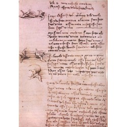 ABAO Arts [Da Vinci] Pedretti (C) - Leonardo. The European Genius.