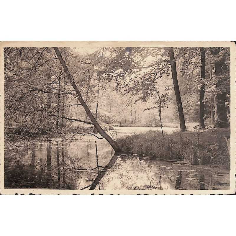 ABAO Bruxelles Watermael-Boitsfort - Etang de l'Ermite.