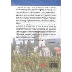 ABAO Essais [Esotérisme] Laroche de Rosa (Anne) - Parcours initiatique et regard symbolique.