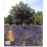 ABAO Arts [Arts Décoratifs] Stoeltie (B & R) - Vivre en Provence.