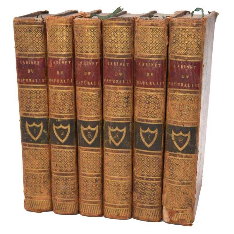 ABAO Sciences naturelles Smith (Thomas) - Le Cabinet du jeune naturaliste ou tableaux intéressants de l'histoire des animaux.... ABAO Sciences naturelles Smith (Thomas) - Le Cabinet du jeune naturaliste ou tableaux intéressants de l'histoire des animaux....