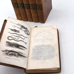 ABAO Sciences naturelles Smith (Thomas) - Le Cabinet du jeune naturaliste ou tableaux intéressants de l'histoire des animaux....
