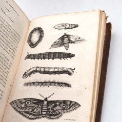 ABAO Sciences naturelles Smith (Thomas) - Le Cabinet du jeune naturaliste ou tableaux intéressants de l'histoire des animaux....