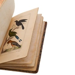 ABAO Sciences naturelles Buffon (Georges-Louis Leclerc de) - Recueils de 110 planches "Oiseaux". (Vauthier)