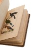 ABAO Sciences naturelles Buffon (Georges-Louis Leclerc de) - Recueils de 110 planches "Oiseaux". (Vauthier)