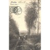 ABAO Brabant wallon Nivelles - Chemin creux.