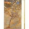 abao.be•Arts•[Peinture] Vincent Van Gogh•