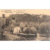 abao.be•Congo•Les éléphants au bain.•