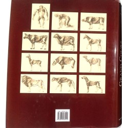 abao.be•Peinture, gravure, dessin•[Anatomie] Szunyoghy (Andras) & Feher (Gyorgy) - Grand cours d'anatomie artistique.•