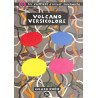 abao.be•Livres illustrés•Les Zwanzes d'innuit siniswichi - Volcano versicolore.•9782930356730
