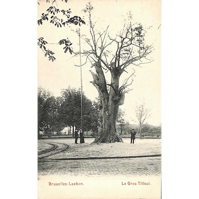 ABAO Bruxelles Bruxelles - Laeken. Le gros Tilleul.