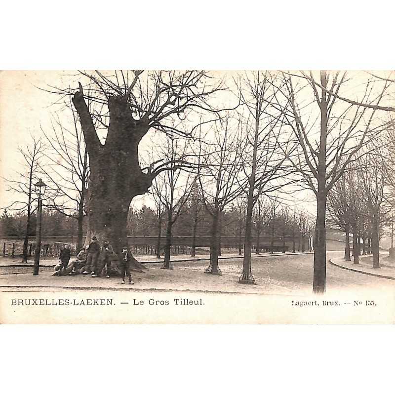 ABAO Bruxelles Bruxelles - Laeken. Le gros Tilleul.