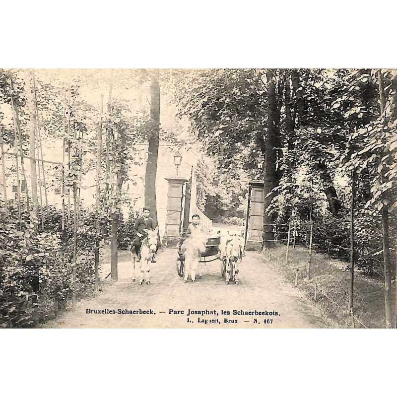 ABAO Bruxelles Schaerbeek - Parc Josaphat, les Scharbeekois.