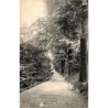 ABAO Bruxelles Schaerbeek - Vallée Josaphat. L'ancien Chemin.