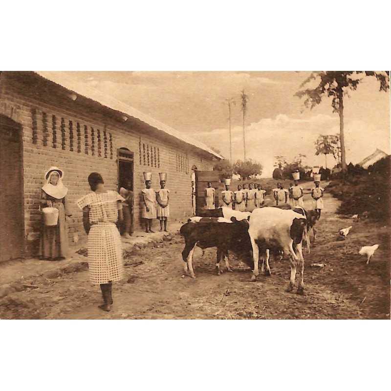 ABAO Congo Kimwenza - La Ferme.