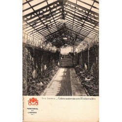 ABAO Bruxelles Laeken - Parc Royal de Laeken. 20 CARTES POSTALES.