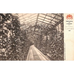 ABAO Bruxelles Laeken - Parc Royal de Laeken. 20 CARTES POSTALES.