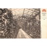 ABAO Bruxelles Laeken - Parc Royal de Laeken. 20 CARTES POSTALES.