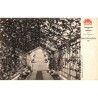 ABAO Bruxelles Laeken - Parc Royal de Laeken. 20 CARTES POSTALES.