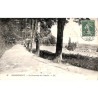 ABAO 88 - Vosges [88] Remiremont - La Promenade du Calvaire.
