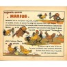 ABAO 1900- RABIER, Benjamin.- MARIUS COQ DU CLOCHER.