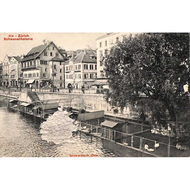 ABAO Suisse Zürich - Schwanenkolonie.