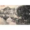 ABAO Suisse Zürich - Schwanenkolonie.