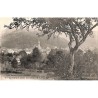 ABAO 88 - Vosges [88] Le Thillot - Le Thillot dans son nid.