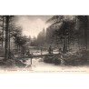 ABAO 88 - Vosges [88] Gérardmer - Le pont d'Amour.