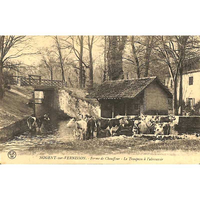 ABAO 45 - Loiret [45] Nogent-sur-Vernisson - Ferme de Chauffour. Le Troupeau à l'abreuvoir.