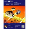 ABAO Bandes dessinées Les Poisons de Mars