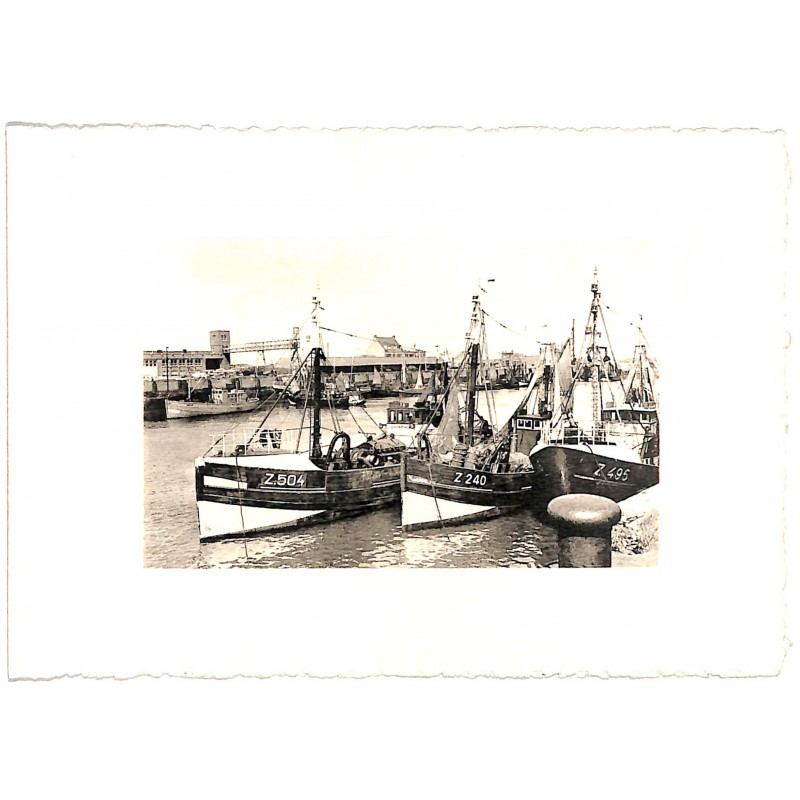 ABAO Flandre occidentale Zeebruges - Port de Pêche.