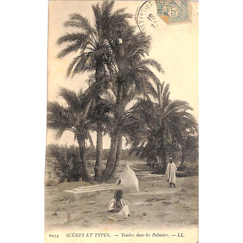 ABAO Algérie Scènes et types - Tombes dans les palmiers.