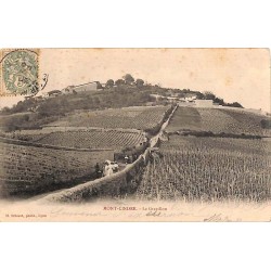 ABAO 69 - Rhône [69] Mont-Cindre - Le Grapillon.