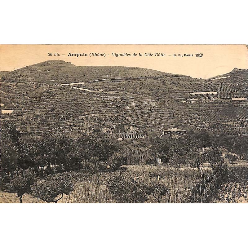 ABAO 69 - Rhône [69] Ampuis - Vignobles de la Côte Rôtie.