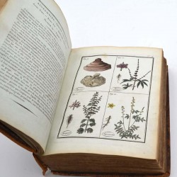 ABAO Sciences naturelles ROQUES (Joseph) - Plantes usuelles, indigènes et exotiques. 2 tomes en 1 vol.