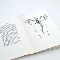 ABAO Livres d'artistes Labisse (Félix) - Histoire naturelle. EO.