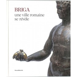 ABAO Antiquité Briga, une ville romaine se révèle.