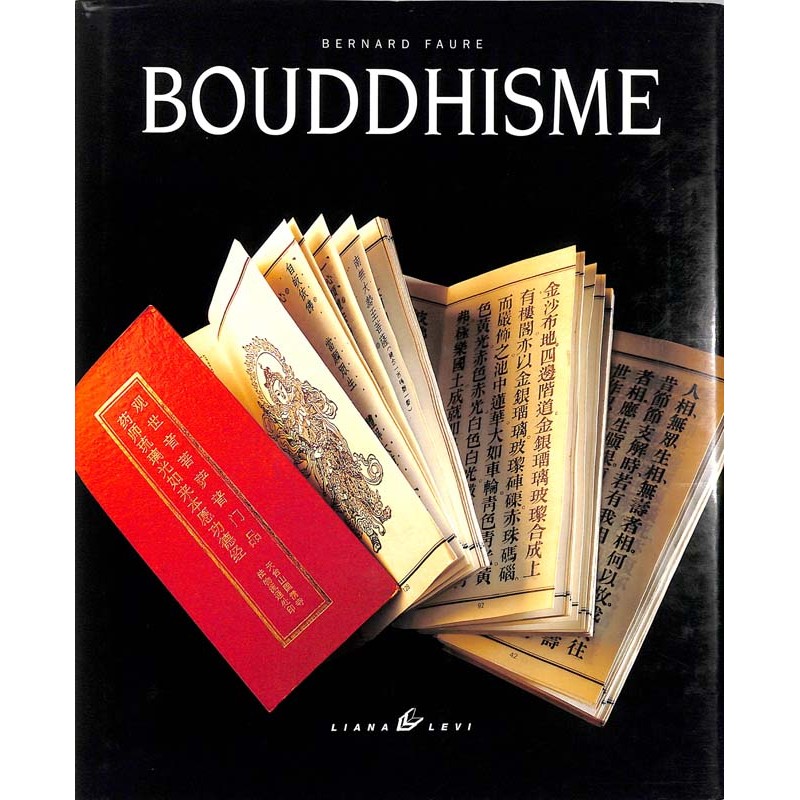 ABAO Essais [Bouddhisme] Faure (Bernard) - Bouddhisme.