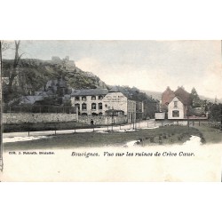ABAO Namur Bouvignes - Vue sur les ruines de Crève Coeur.