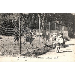 ABAO 88 - Vosges [88] Epinal - Le Parc du Château. Les Cerfs.